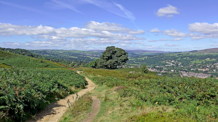 Ilkley Moor